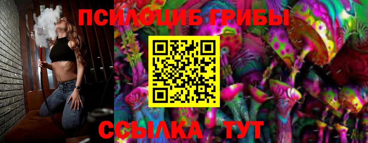 Галлюциногенные грибы Psilocybine cubensis Великий Новгород